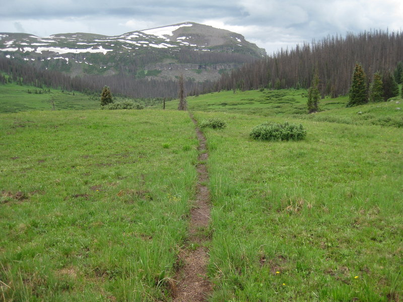 Snowslide Trail