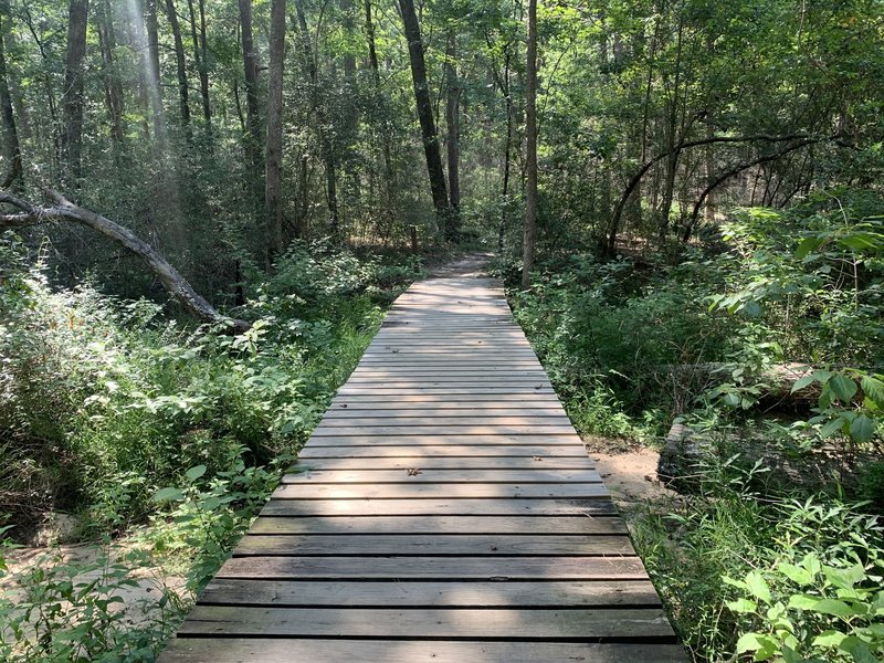 Several boardwalks exist along the trails.