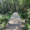 Several boardwalks exist along the trails.