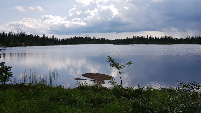 Store Kongstjern