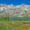 The near side of Lower Davis Lake is surround by green and flowery alpine meadows. You can reach Upper Davis Lake by climbing up the slopes on the far left-center of the picture.