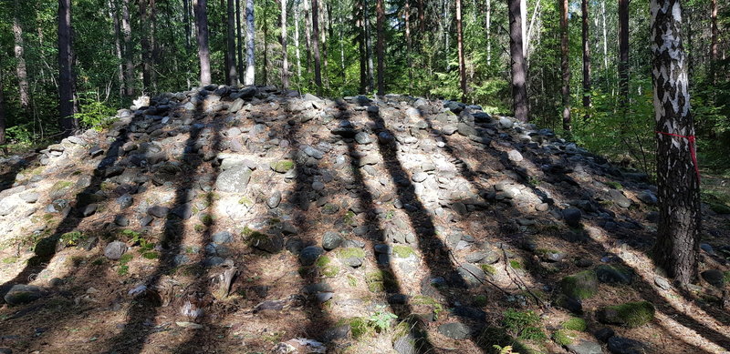 Gravhaug Essoskogen