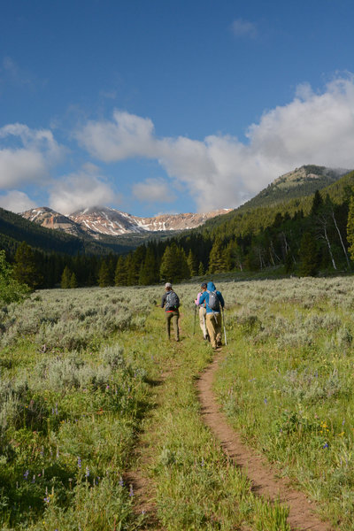 Open views to the mountains that surround the Coffin Lakes