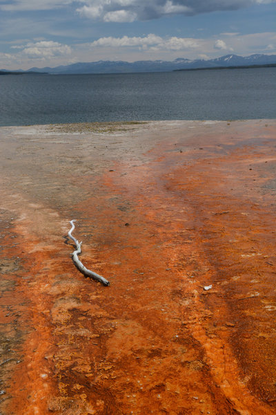 The bright red outflow from Black Pool