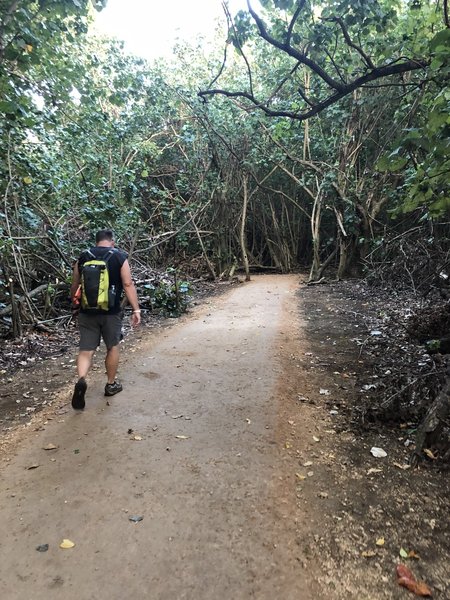 Path to trail from parking lot - .3 mile