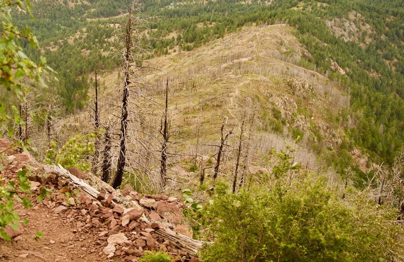 Looking down on the approach of Bear Peak West Ridge trail