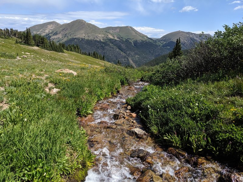 The Butler Gulch creek in the bowl above the treeline, looking towards Berthoud Pass.