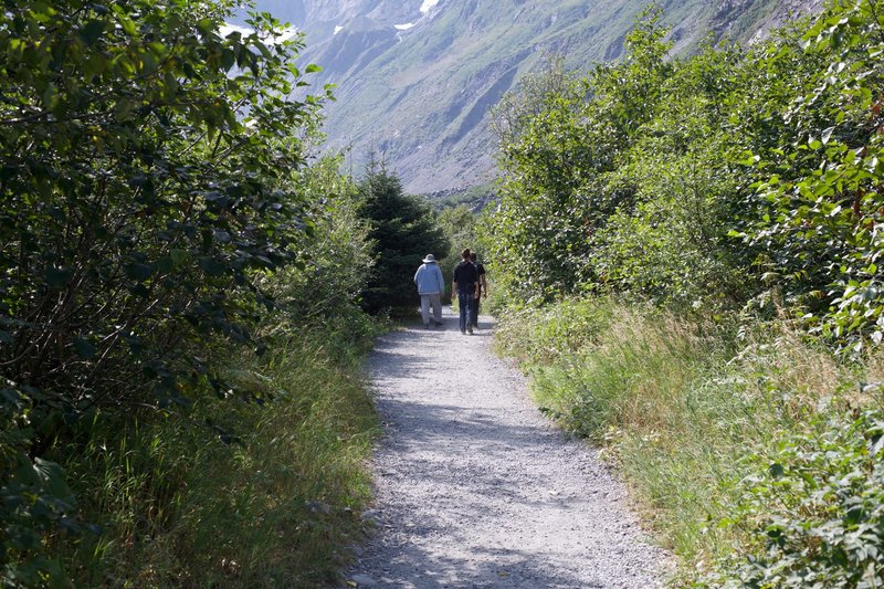 The trail is made of gravel and is fairly flat and wide as it climbs gently toward the glacier.