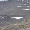 Mountain goats can be seen along the trail.  Here, a mother mountain goat and her kid move away from the trail and linked up with another group of mountain goats.