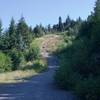 The trail follows a fire road for a short distance, and then narrows and starts climbing more steeply.