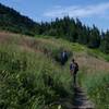 The trail climbs steeply through fields of wildflowers, including fireweed.