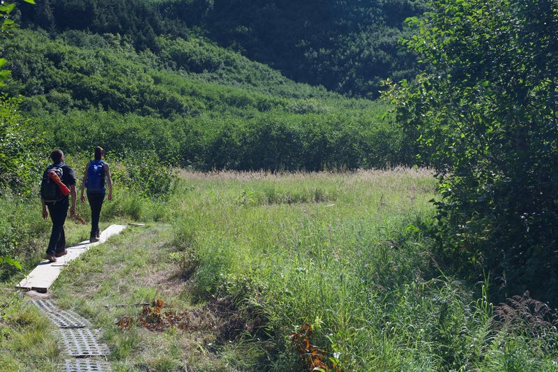 The trail crosses a field on boards that gets wet due to snow melt throughout the summer.