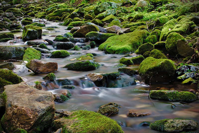 Dunnfield Creek often slows to a trickle in late summer