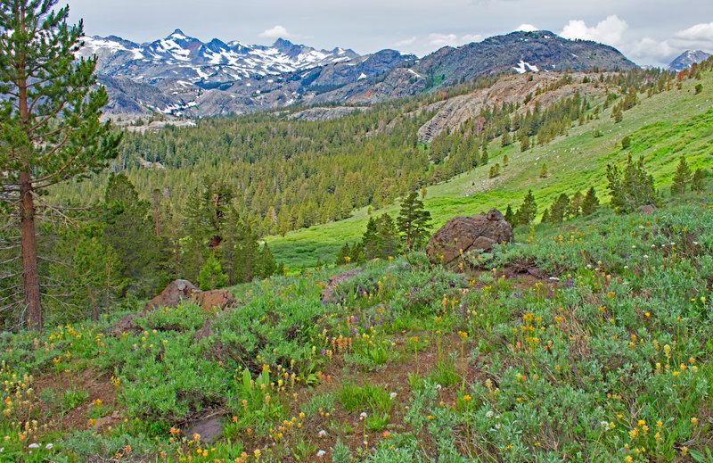 Breathtaking beauty throughout the length of the trail. Summit lake is on the first ridge of rocks on the right. Thousand Island Lake is behind the low domes in the upper center of the picture