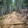 Longs Peak Trail.