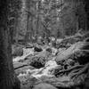 Longs Peak Trail.