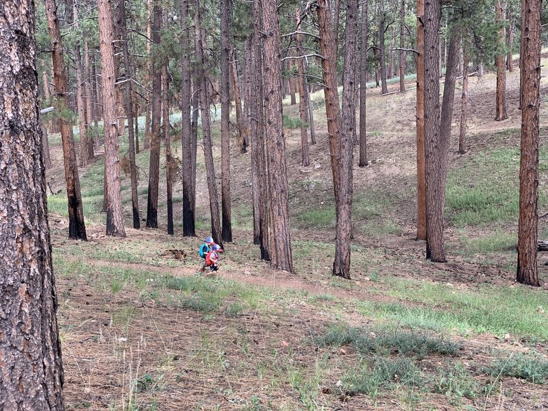 Trailrunning down to the switchback