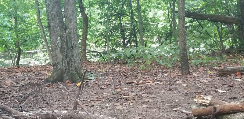 Pond near campsite