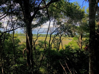 View of the marsh from the Creek Trail.