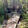 Bridge over the tannin-colored creek as you near the end of the trail.