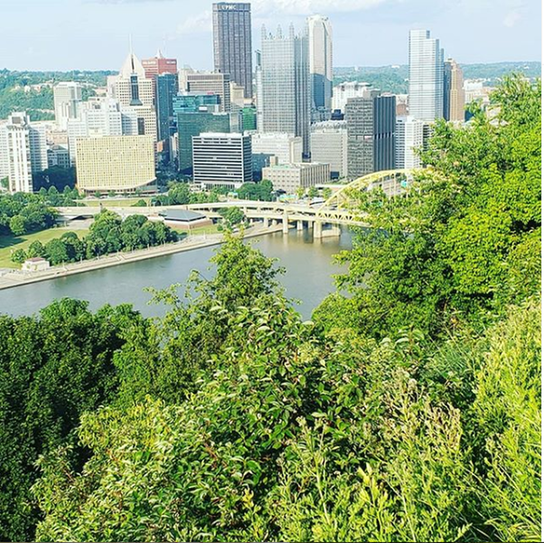 Sunny view of Pittsburgh!