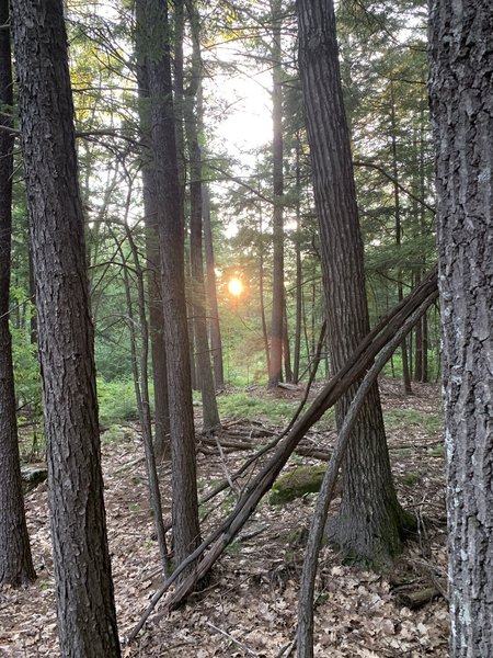 Sunset on the Yellow Perimeter trail.