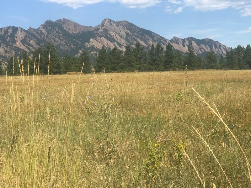 Great views from Flatirons Vista Trail