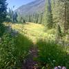 Vegetation on sides of trail grows taller as you go further - face height within the next mile.