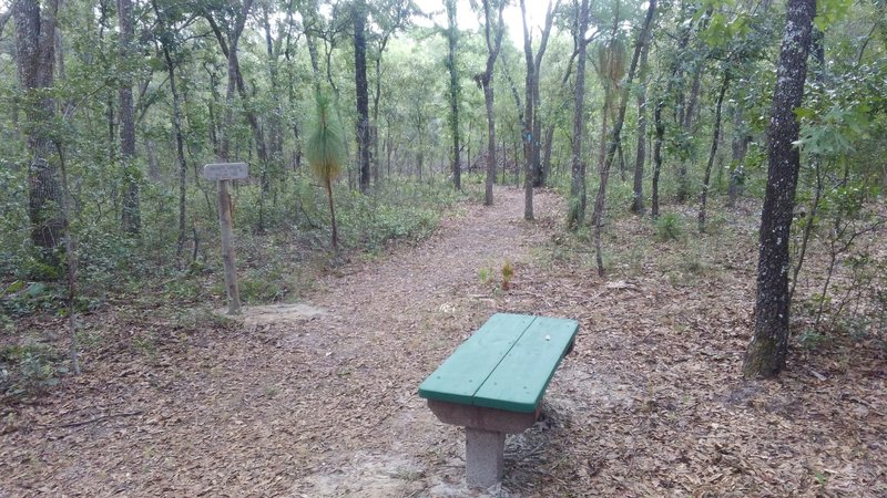 A nice place to rest....