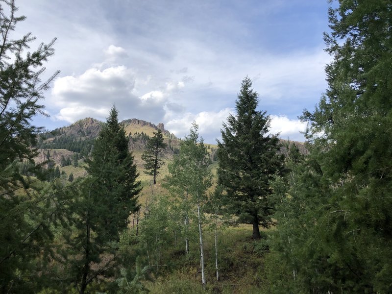 Looking north from this mostly wooded trail.