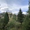 Looking north from this mostly wooded trail.