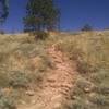 One of the rocky descents, loose rocks make it a bit more challenging.