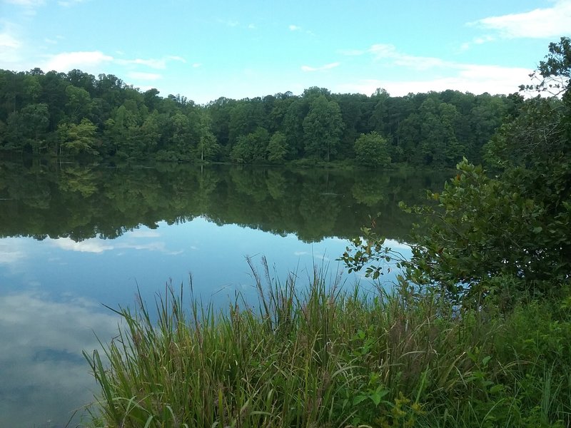 View of the Big Lake.