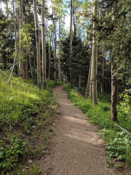 Part of the well-established trail, close to the parking lot.