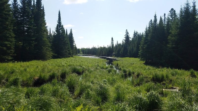 Just a view along the trail.