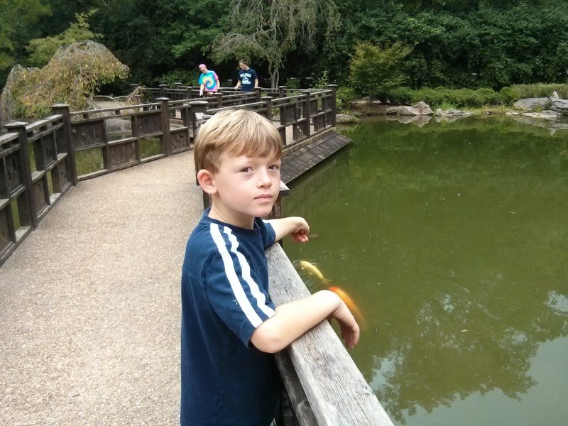 At the fish pond.