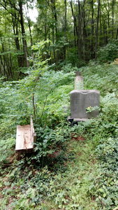 Dwyer family cemetery.