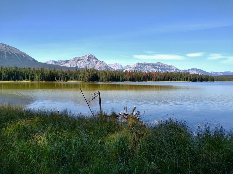 Princess Lake with mountains of the De Smet Range, to the west, in the background.