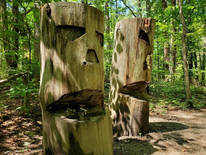 Log faces