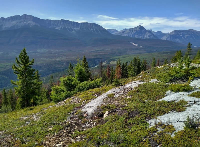 The De Smet Range with Roche De Smet on the left, is seen from Devona Lookout when looking west. The Snake Indian River can be glimpsed in the valley below (center).