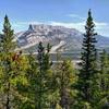 Roche Miette is seen through the trees, to the east, from Devona Lookout.