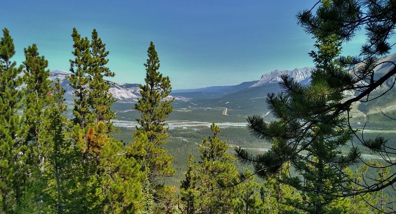 The Athabasca River below in the distance, with The Yellowhead Highway (Hwy 16) on the other side next to the river, heading northeast, is seen through the trees from Devona Lookout. Roche Miette (center right) stands guard over this valley.