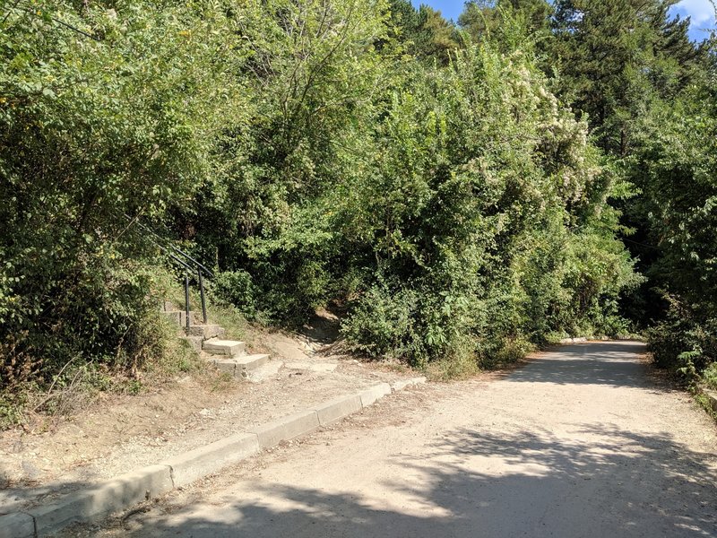 We took the route backwards, doing the challenging part first. If you want to do this look for these stairs just after you leave the car park and start down the main path, you want to take the dirt track between the stairs & main road.