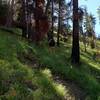 Climbing the slope above the meadow.