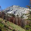 The north ridge of Sacajawea Peak from high on the Thorp Creek Trail.