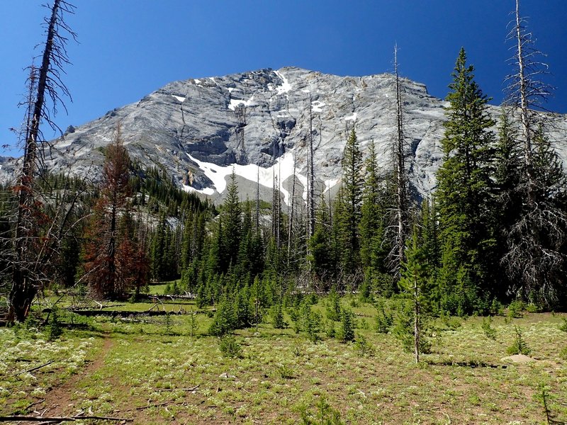 Sacajawea Peak from the north end of Thorp Creek meadow.