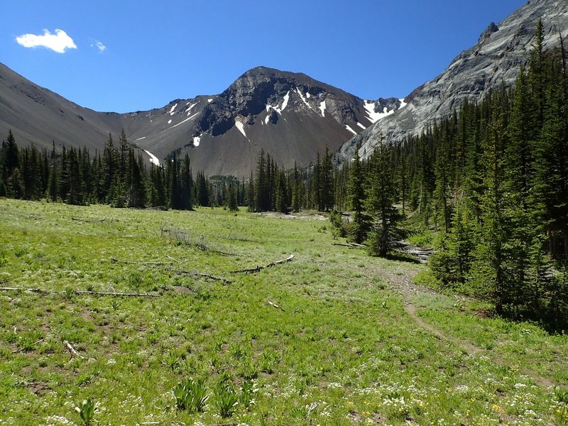 Looking south along Thorp Creek meadow toward the Hurwal Divide.