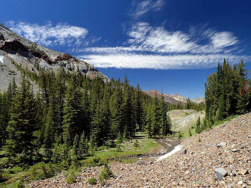 One of the campsites in Thorp Creek meadow.