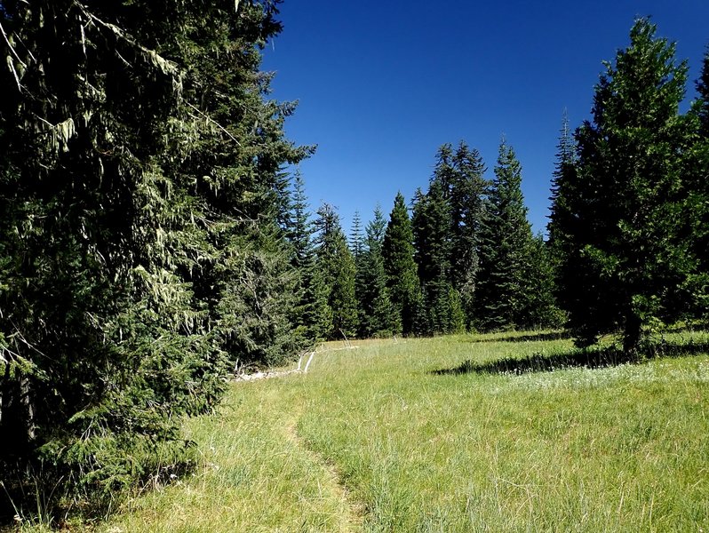 The trail crosses a meadow on the edge of the cliff.