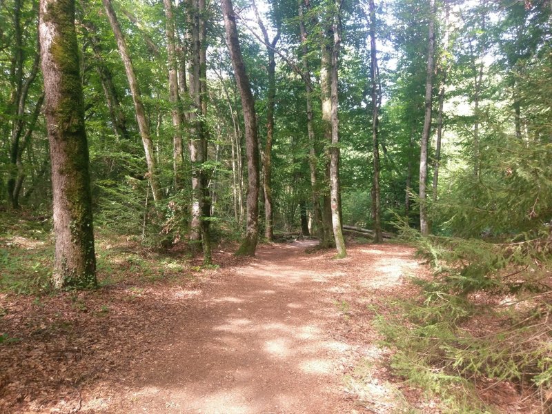 Enjoyable stretch of level ground in the Roc de Chere Nature Reserve